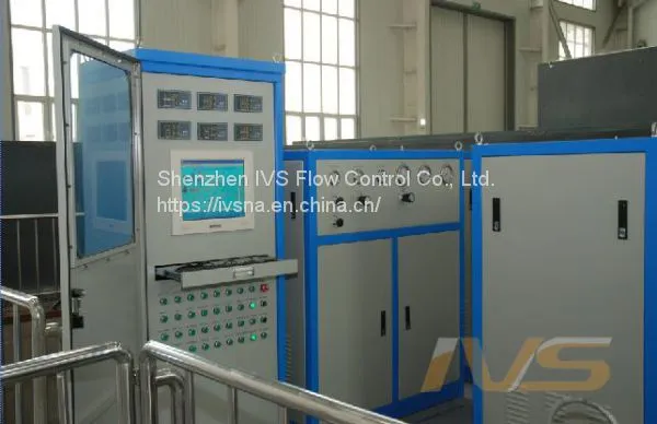 SCSSV Comprehensive Test System