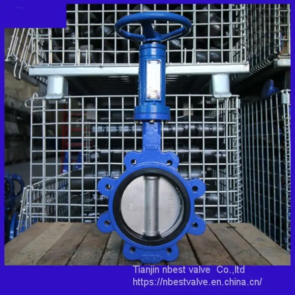 Vertical Wheel DIN Standard PN16 Vertical Gear Lug Butterlfy Valve DN150 photo-2