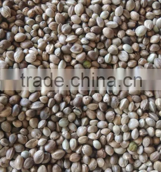 Organic Hemp Seed photo-2
