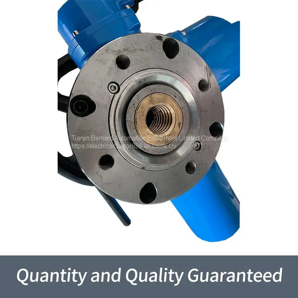 Bernard Multi-turn Electric Actuator DZW60 Thrust Type Valve Electric Device photo-4