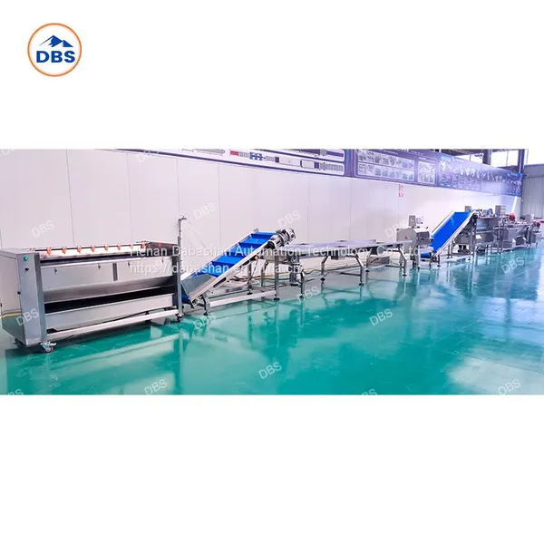 Root Vegetable Processing Production Line photo-4
