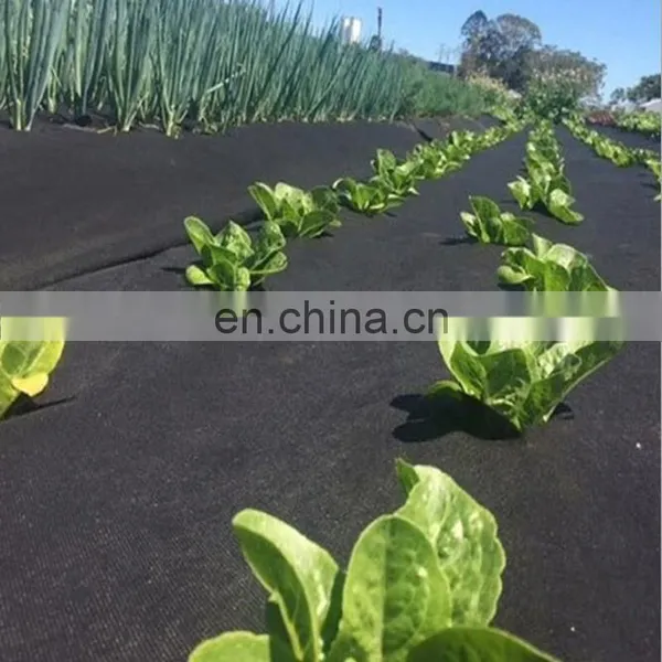 China Factory Manufacture Landscape Fabric Green Ground Cover Plastic Mulch Film photo-3