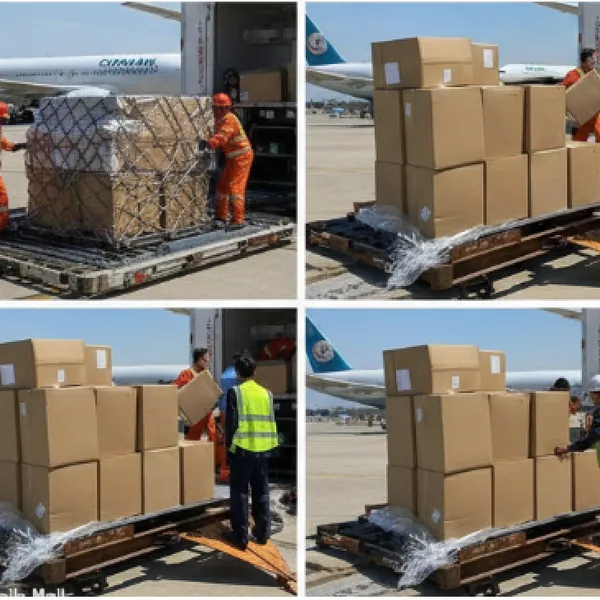 Mastering Customs: Shipping Solar Batteries & Energy Storage to South America photo-3