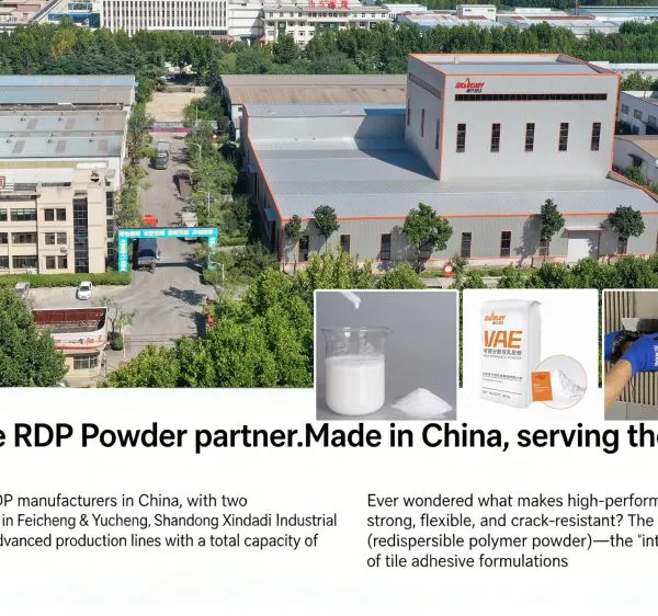 RDP503 China Redispersible Powder /Vae Latex Powder Factory photo-4