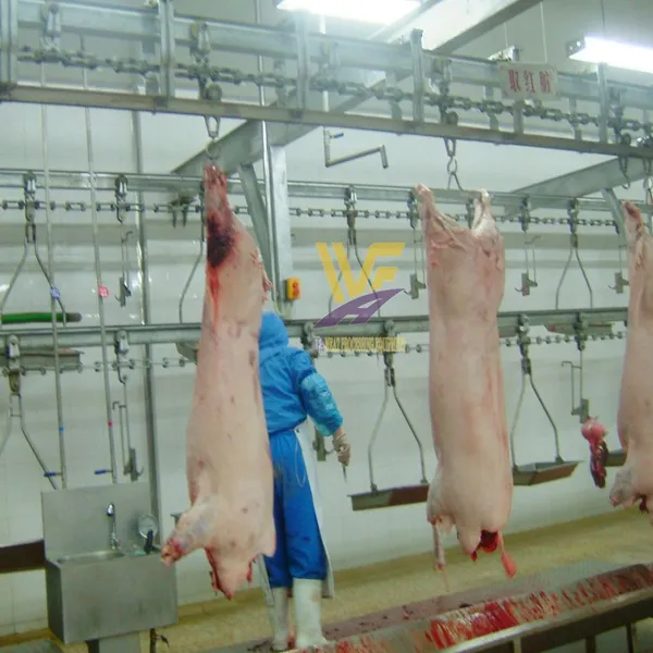 Turnkey Pig Slaughterhouse Machinery Project Hog Abattoir Line Equipment HACCP Swine Butchery Machine Pork Processing Plant photo-4