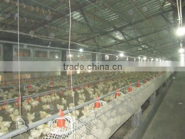 Automatic Poultry Feeder