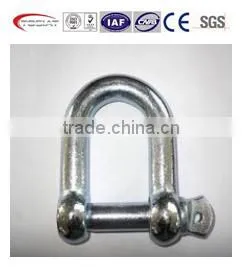 European Standard Galvanized D Shackle and Bow Shackle photo-3