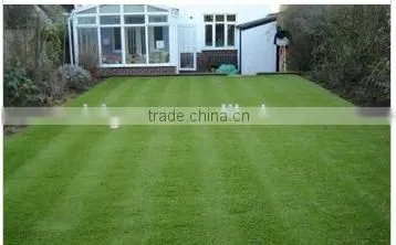 High Density 33mm Golf Synthetic Turf SS-045012-Q Artificial Grass Lawn photo-3