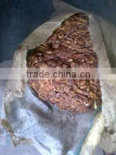 Tamarind photo-3
