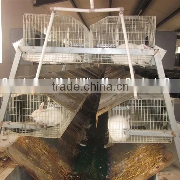 H Type & A Type & Automatic High Quality Wire Mesh Rabbit Cage For Sale photo-3