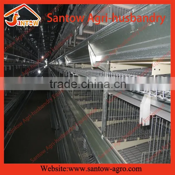 How to Build Stable Steel Structure Battery Cages for Chickens photo-4