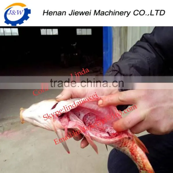Big Discount!!! Fish Killing Machine,Fish Cutter Machine photo-3
