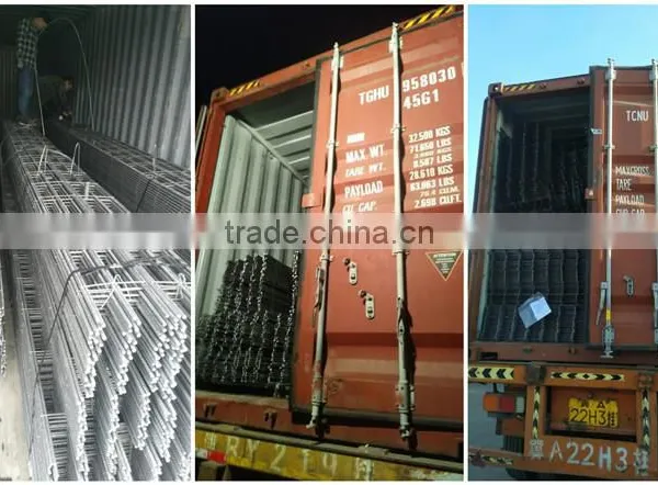 Construction Galvanized Welded Wire Mesh Panel Price photo-5