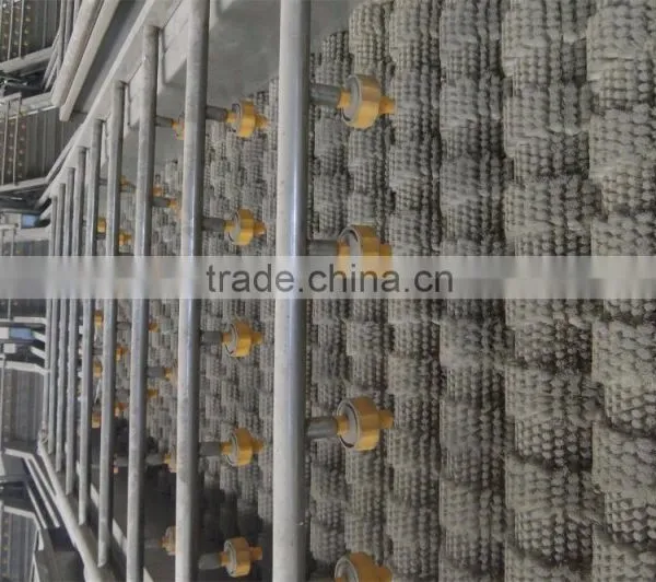 Yam Sorting and Grading photo-6
