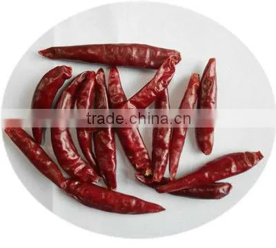 New Crop High Quality Dry Red Chilli