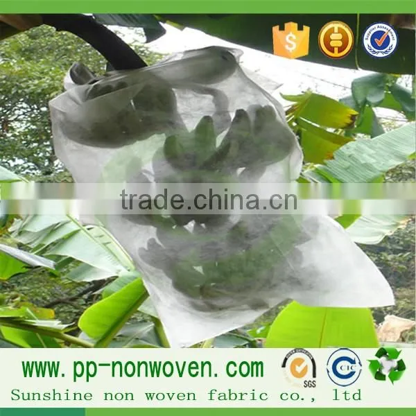 PP Spunbond Roll Fabric Nonwoven Fabric Fruit Cover photo-3