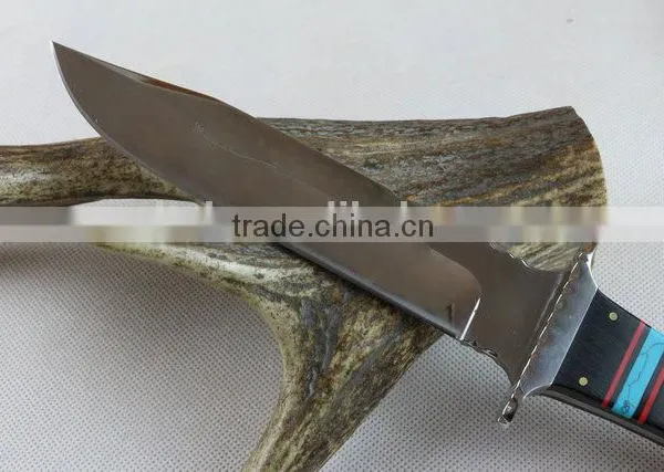 OEM Fixed Blade Collection Knife With Mirror Surface photo-3