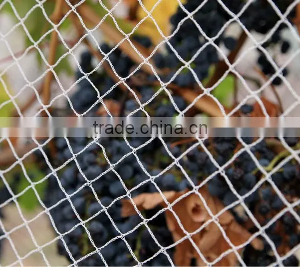 (20 Years Shanghai Factory) Hot Selling , New Arrival, Floriculture HDPE Vineyard Net on Semillon Vine , 33 GSM / 20101-33 photo-2