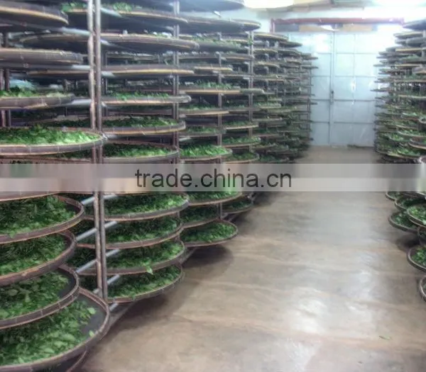 Viet Nam High Mountain Oolong Tea photo-6