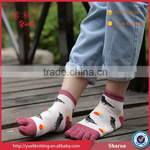 Swallow Five Toe Sock Used Lonati Sock Knitting Machines Soft Sock photo-5