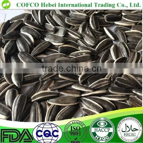 5009 Roasted Sunflower Seeds