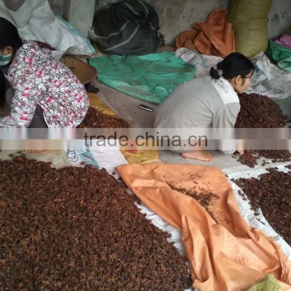 VIETNAM RAW STAR ANISSED NEW CROP 2015 photo-2