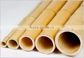 WY-219 2016 Natural Moso Large Bamboo Poles Sale Cheap for Garden Plant and Construction photo-5