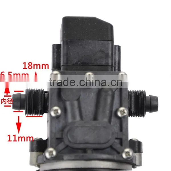 DC 12V/24V Reflux Valve or Auto High Pressure Switch Mini Garden Water Pump photo-5