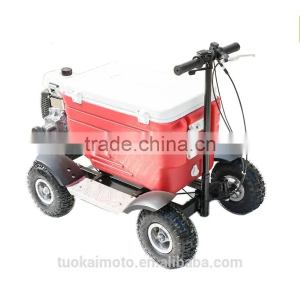 Hot Sale Gas Cooler Scooter for BBQ/43cc EPA Ice Chest Scooter (TKS-S43) photo-2