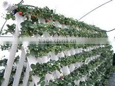 Good Quality Commercial Hydroponics Greenhouses Systems photo-2