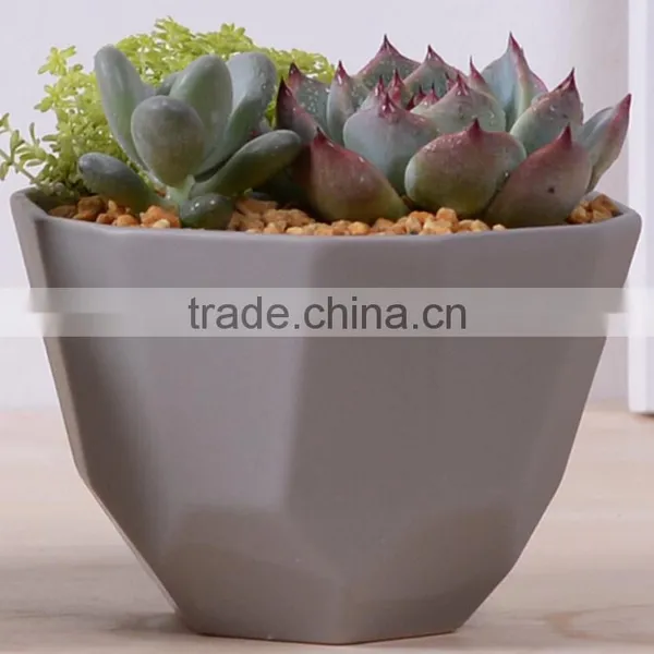 2016 New Design Irregular Ceramic Succulent Planter photo-4