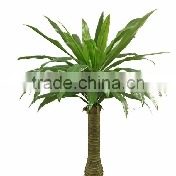 HX010428 Plastic Tree for Office Decoration photo-2