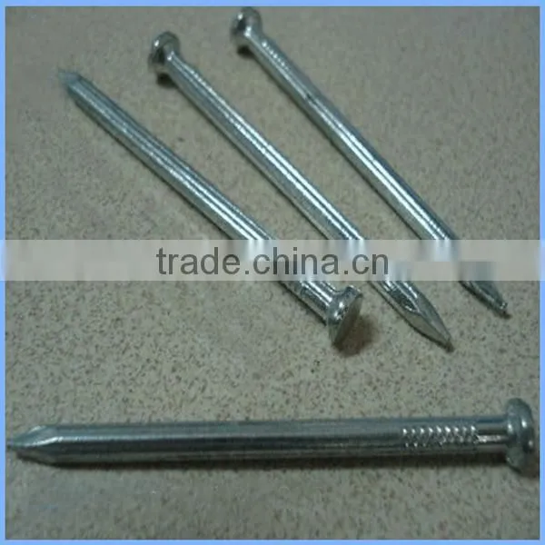Galvanized Concrete Steel Nails From Guangzhou Supplier photo-3