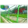 Pvc Coated Barbed Iron Wire