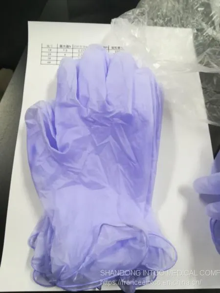 Powder-Free Disposable Vinyl Exam Glove Blue photo-2