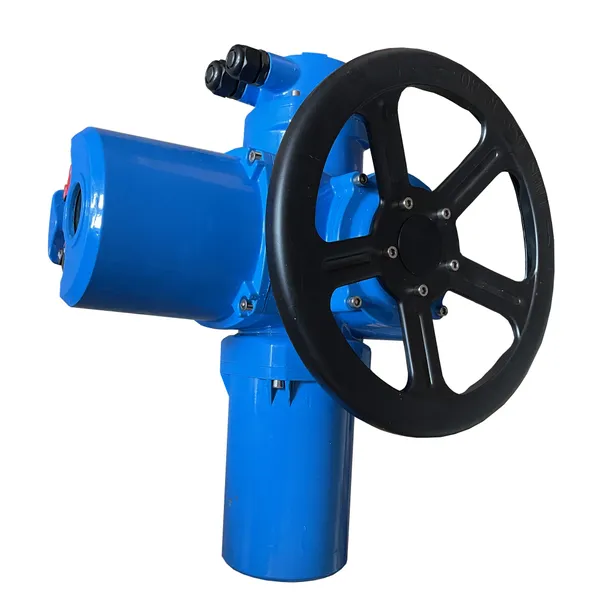 DZW Thrust Type Electric Actuator photo-2
