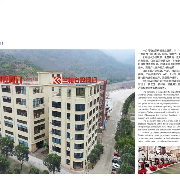 Lanchu Automatic Control Valve company overview - view 1