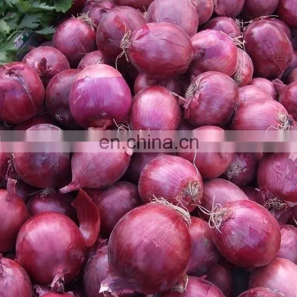 BRC A Approved High Quality Non-peeled Fresh Vegetable Red Onion From Sinocharm