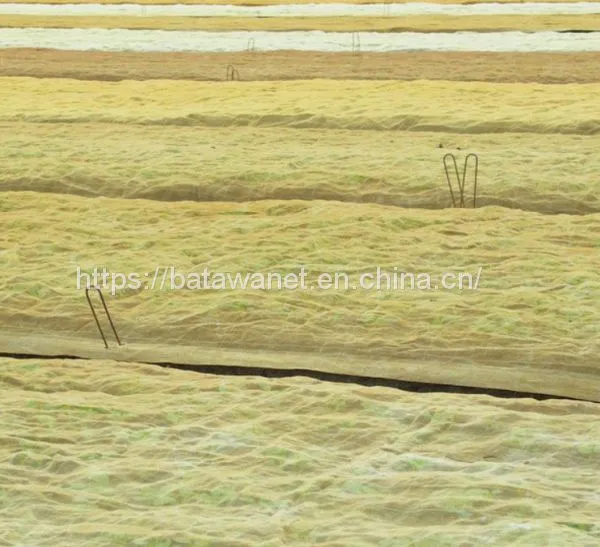 Hdpe Agricultural Plastic Mesh Fruit and Vegetable Insect Net Vegetable Farm Insect photo-2