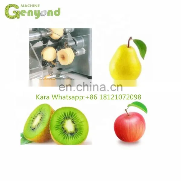 Stainless Steel Apple Persimmon Peeling Machine photo-2