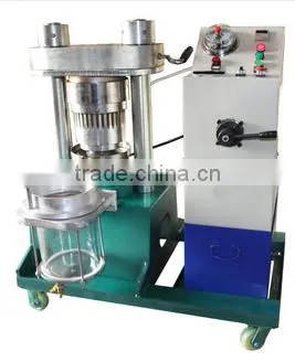 Small Avocado Oil Extraction Cold Press Aguacate Oil Pressing Machine photo-2