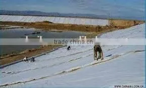 Polyester Filter Mat/geotextile for Lake and Coast photo-2