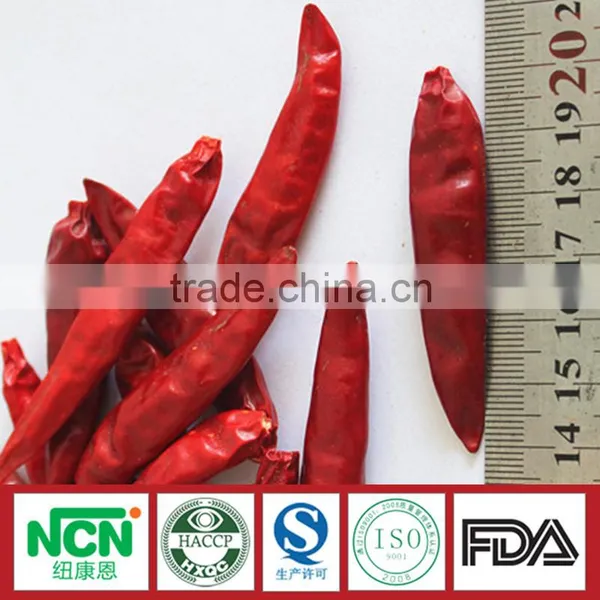 New Generation Chinese Red Chilli of Tianying Red Chilli photo-3