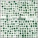 Green Swimming Pool Tiles 250X250