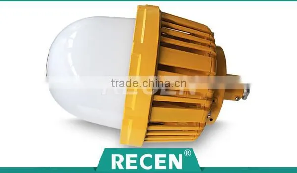IP65 China Factory Good Quality Aluminum Alloy Energy-saving 50w Led Power Explosion Proof Luminaire photo-2