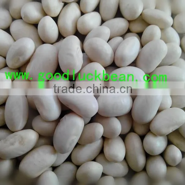 High Quality White/Black Pulse Beans photo-6