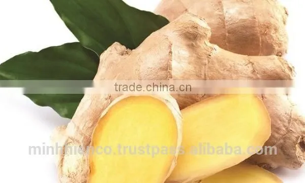 Fresh Ginger photo-4