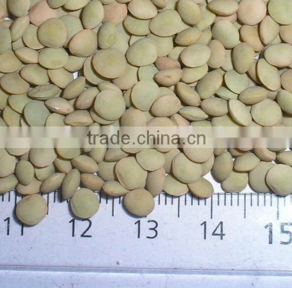 Lentils