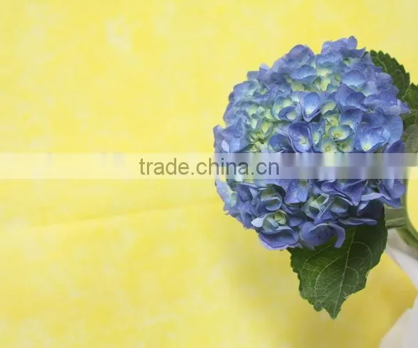 Fresh Factory Direct Flower Hydrangea photo-3
