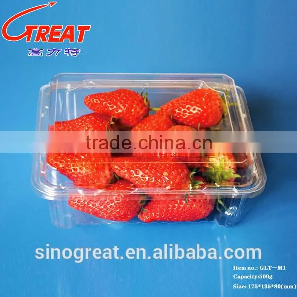 Good Quality Disposible Plastic Food PET Tray/strawberry/blueberry Clamshell Tray photo-4